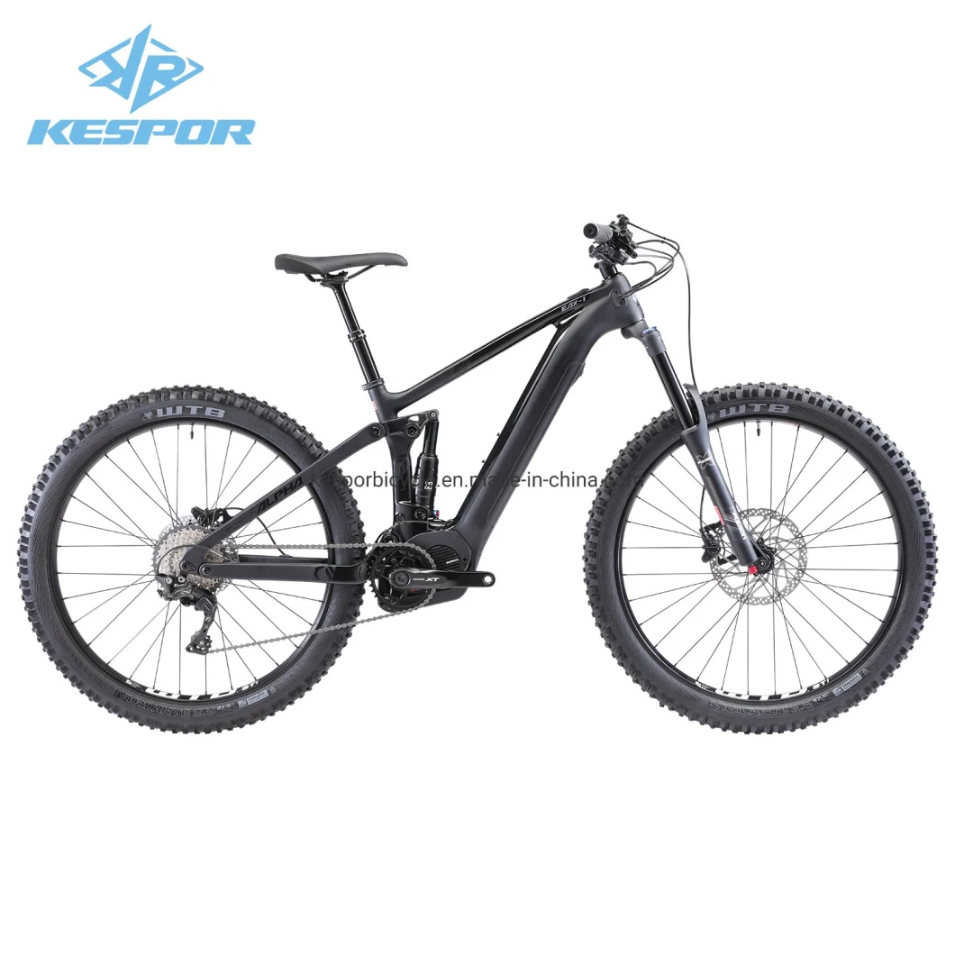 High End OEM Wholesale 27.5/29 Inch 36V 250W/500W MID Drive Motor Mountain Electric Bike Bicycle with Carbon Fiber Frame