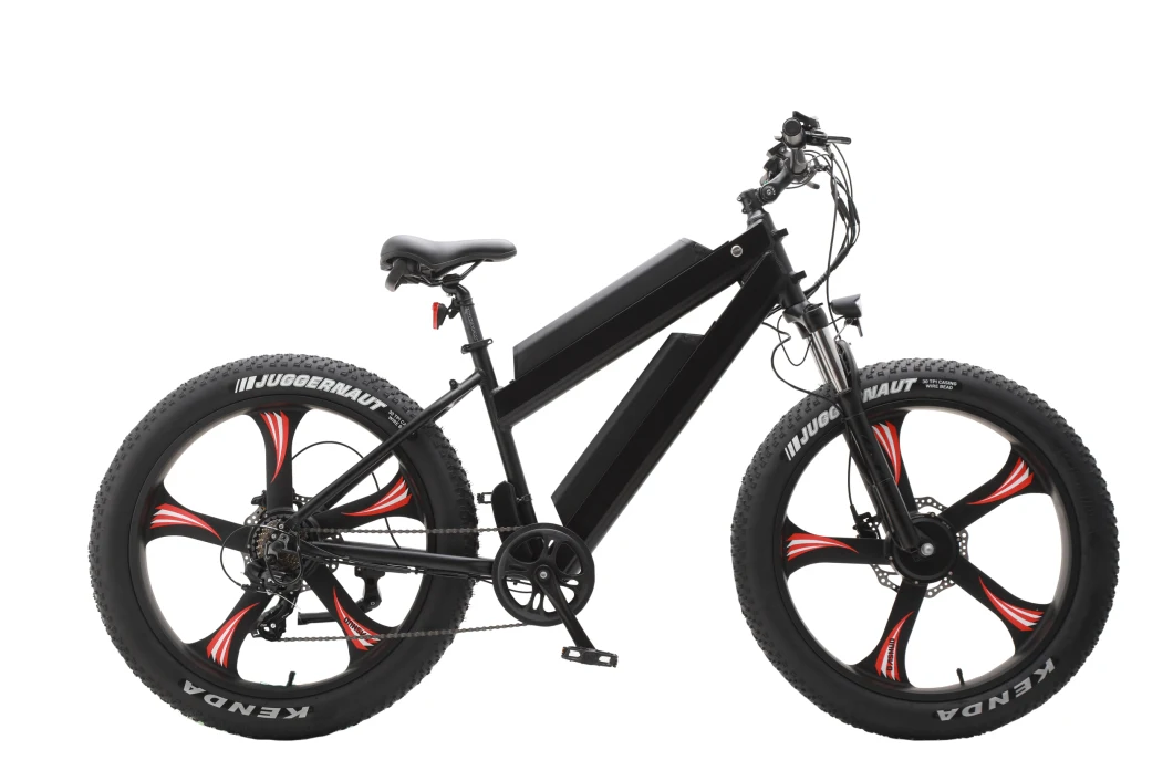 MTB Fat Tire 26*4.0 350W*2 Double Hub Motors electric Bike