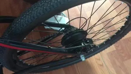 OEM China Factory 350W 29er Motor sin escobillas Bicicleta eléctrica Biciletta