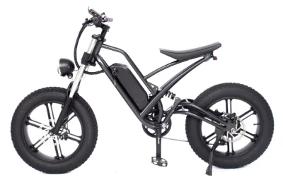 MID Drive Bafang Motor 7-Speed ​​MTB Fat Tire off Road Electric Mountain Suspensión completa Snow Cruiser E Bike con batería de litio