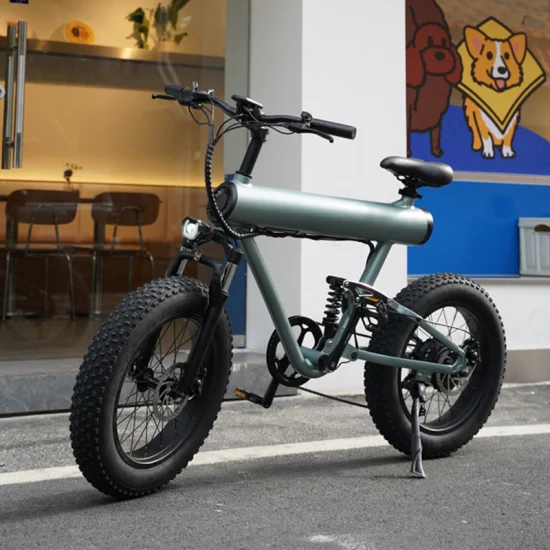 Fabricante Nuevo diseño Fat Tire Ebike con 10ah 48V 500W E-Bike